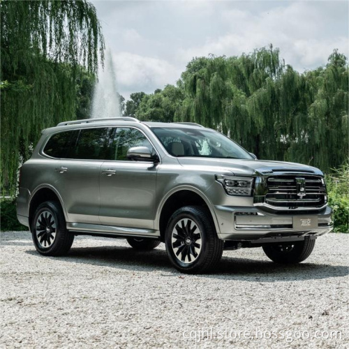 2023 nel serbatoio di serie 500 Grande parete 5 sedili 5 porte SUV di grandi dimensioni SUV di grandi dimensioni Serbatoio da parete 500 Porta a oscillazione a benzina Nuova serbatoio dell&#39;auto 500